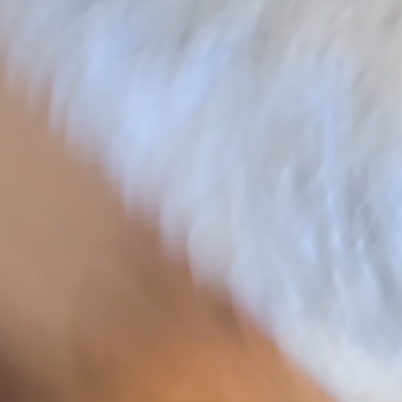 Ann Taylor - Picture 6 of 11